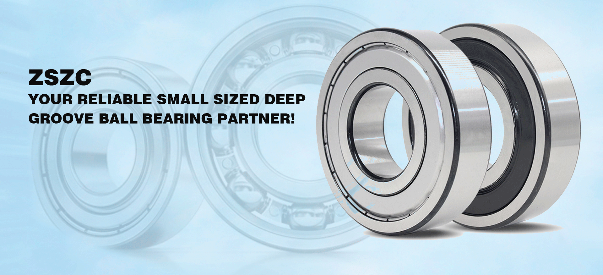ZSZC Bearing