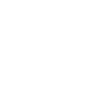 ZSZC bearings