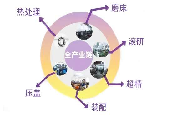 核心优势